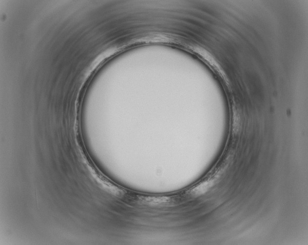 X0000062900845200602031830