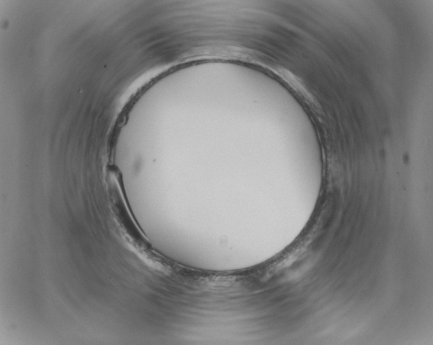 X0000062900846200602031830