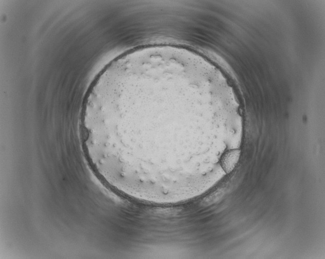 X0000062900847200602031830