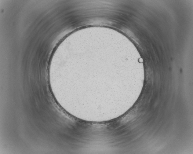 X0000062900848200602031830