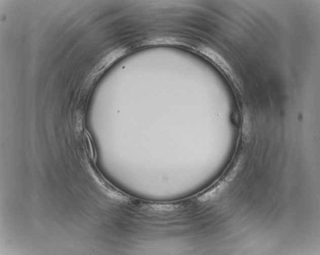 X0000062900849200602031830