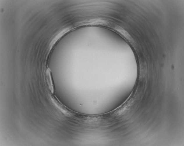 X0000062900850200602031830