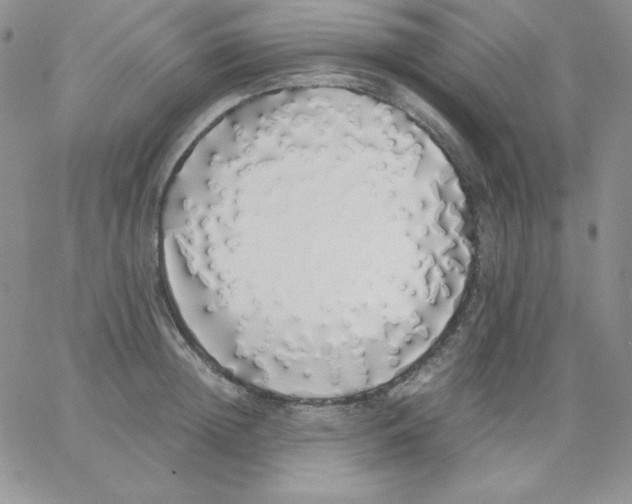 X0000062900852200602031830