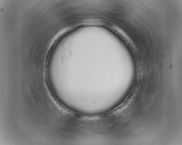 X0000062900853200602031830