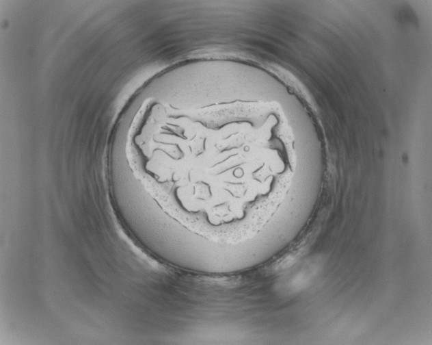 X0000062900855200602031830