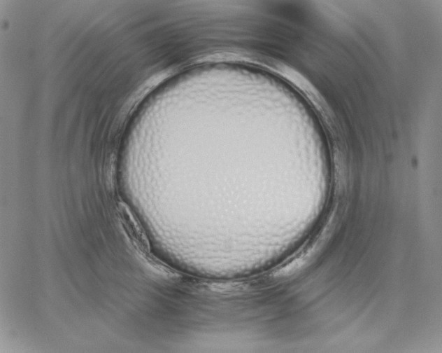 X0000062900857200602031830