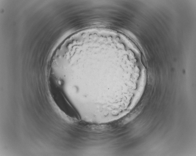 X0000062900859200602031830