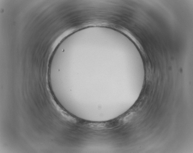 X0000062900861200602031830