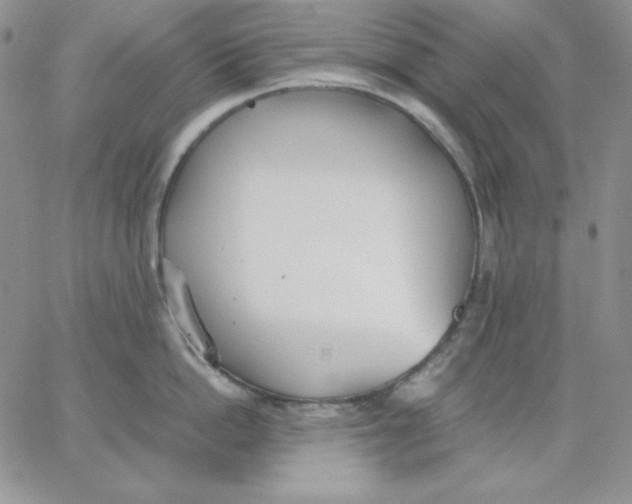 X0000062900862200602031830