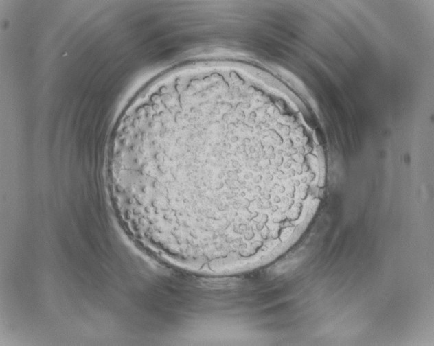 X0000062900863200602031830