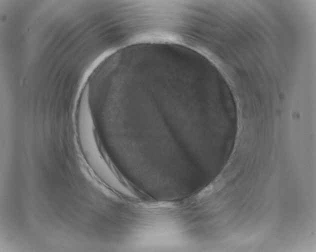 X0000062900864200602031830