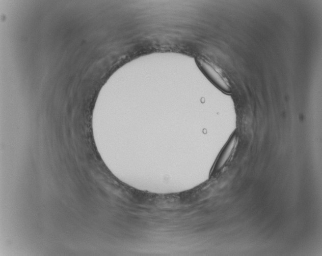 X0000062900865200602031829