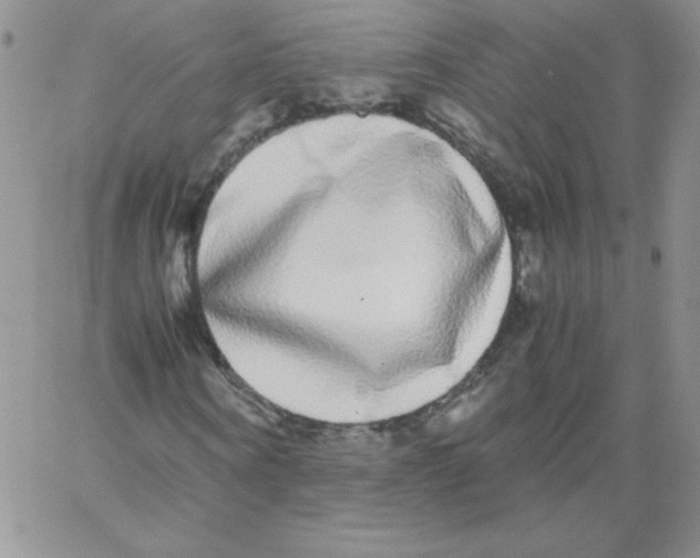 X0000062900866200602031829