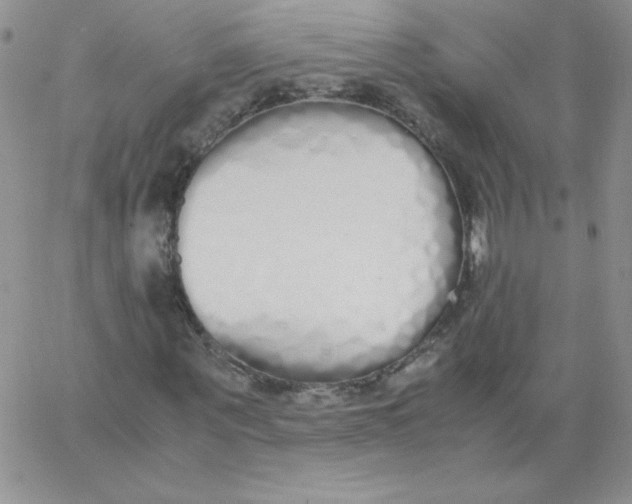 X0000062900867200602031829