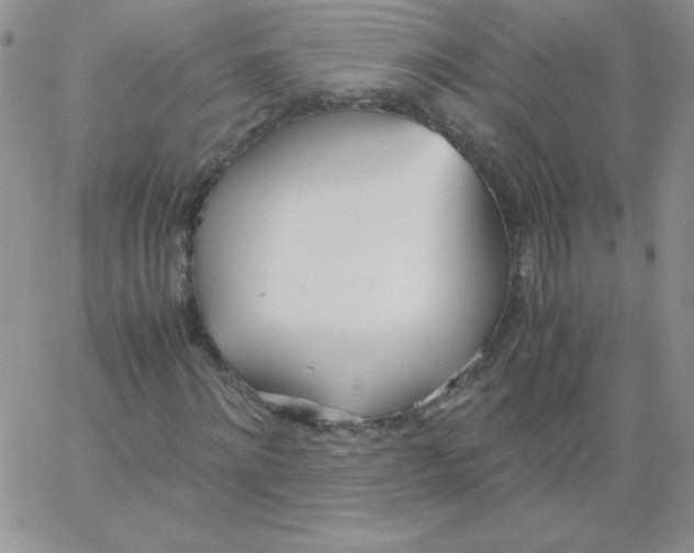 X0000062900868200602031829