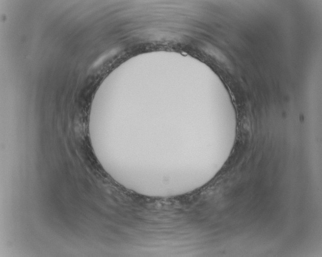 X0000062900869200602031829