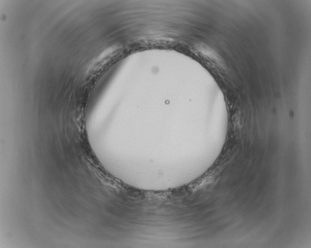 X0000062900870200602031829