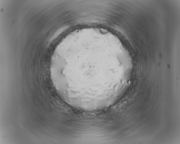 X0000062900871200602031829