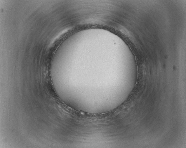 X0000062900872200602031829