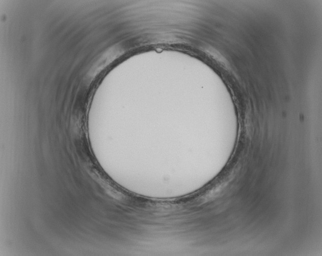 X0000062900873200602031829