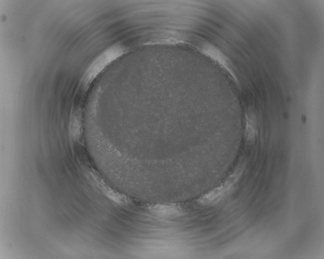 X0000062900874200602031829