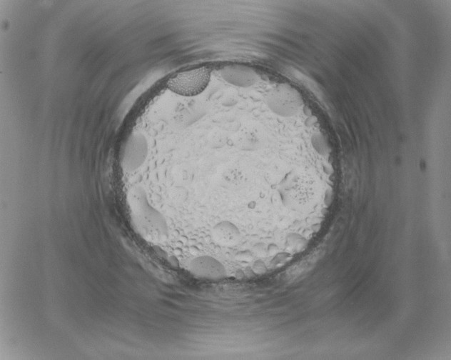 X0000062900875200602031829