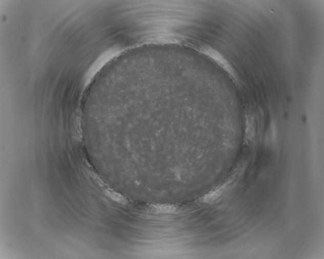 X0000062900878200602031829