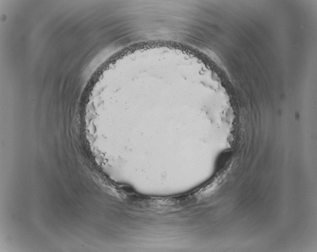 X0000062900879200602031829