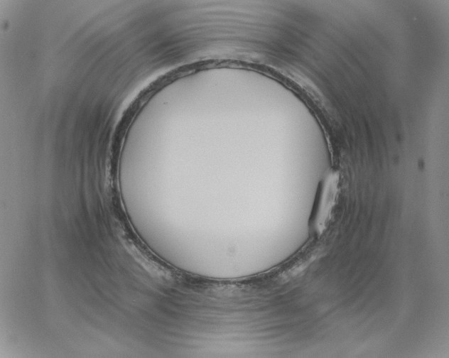 X0000062900880200602031829