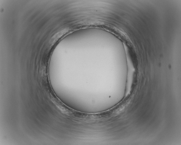 X0000062900881200602031829