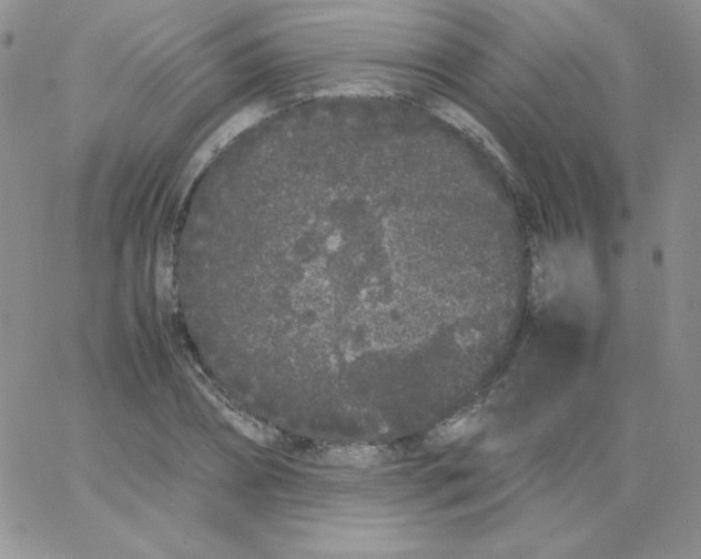 X0000062900882200602031829