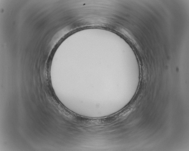 X0000062900883200602031829