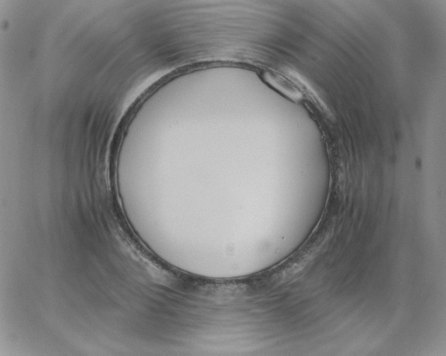 X0000062900884200602031829