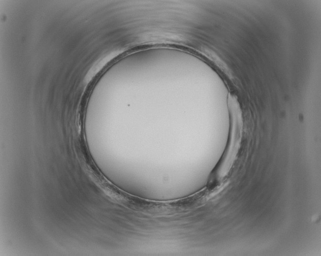 X0000062900885200602031829