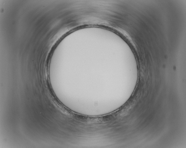 X0000062900887200602031829