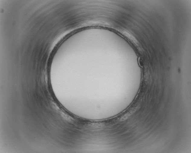 X0000062900888200602031829