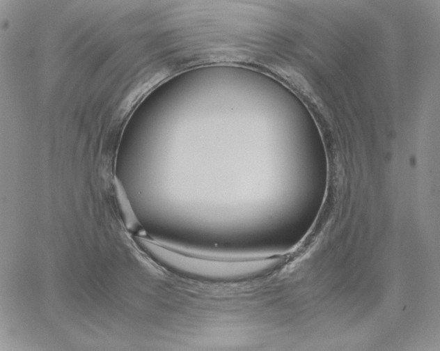 X0000062900889200602031829