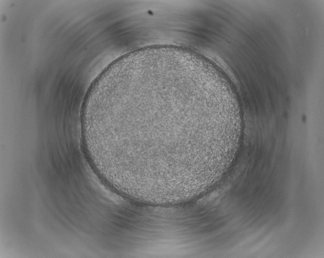 X0000062900890200602031829