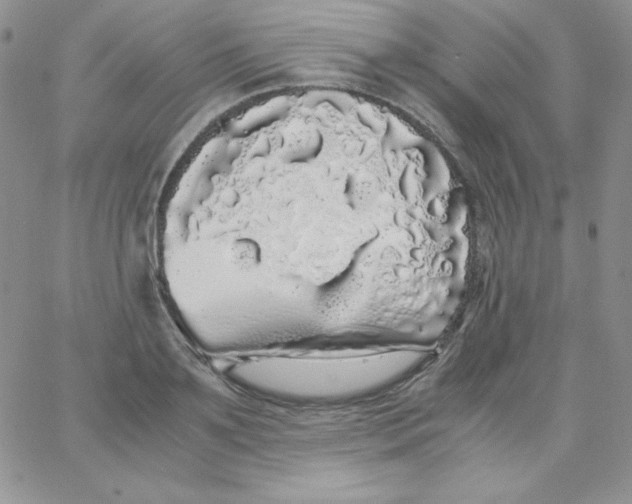 X0000062900891200602031829