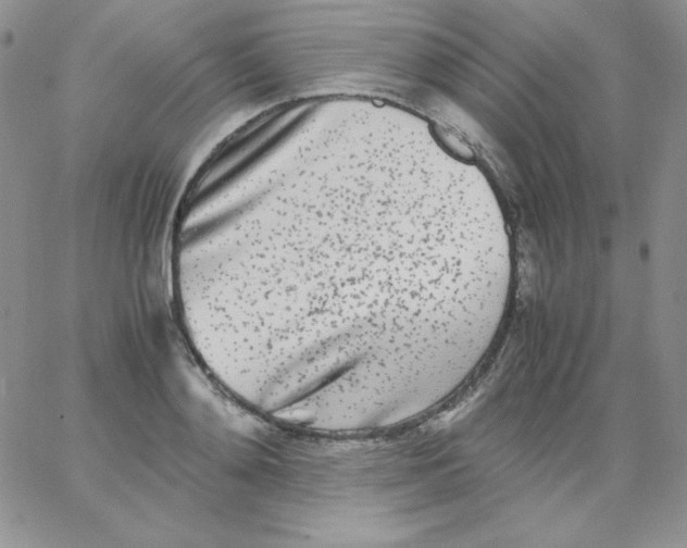 X0000062900892200602031829