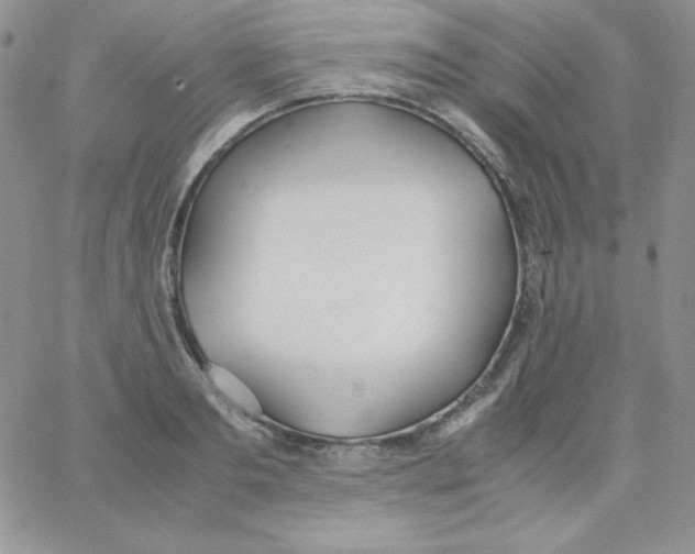 X0000062900893200602031829