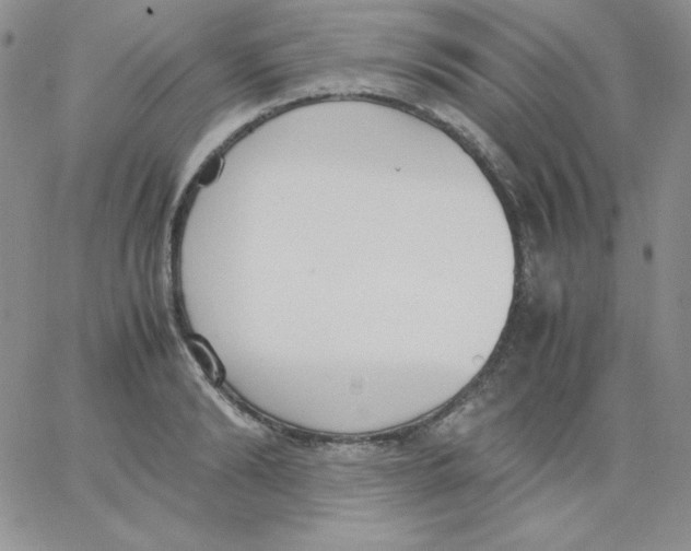 X0000062900894200602031829