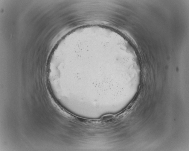 X0000062900895200602031829