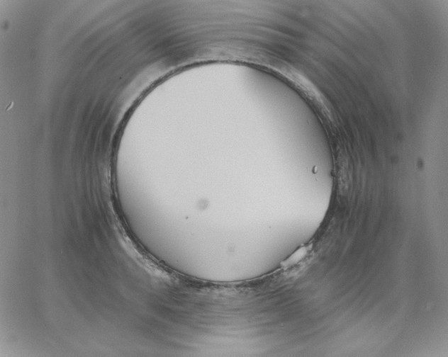 X0000062900896200602031829