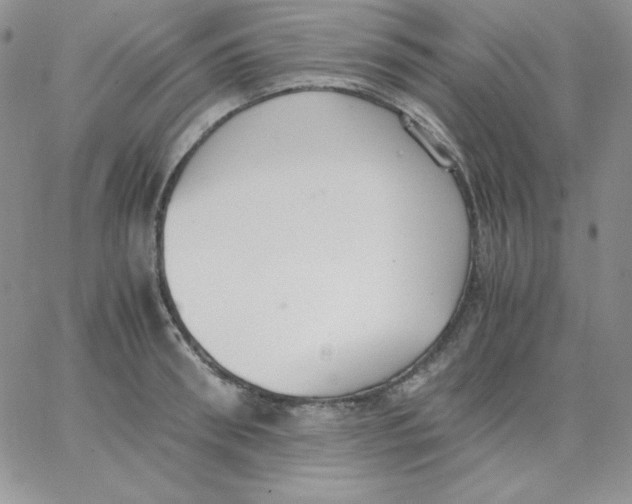 X0000062900898200602031829