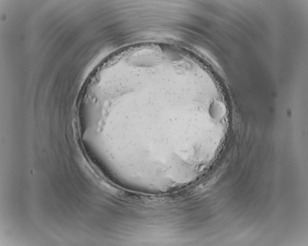 X0000062900899200602031829