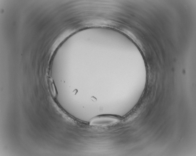 X0000062900901200602031829