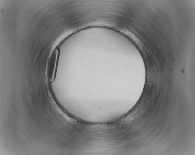 X0000062900902200602031829