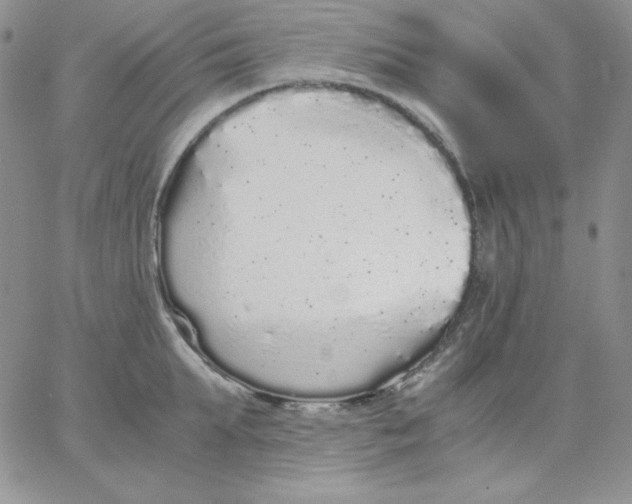 X0000062900903200602031829