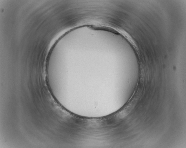 X0000062900904200602031829